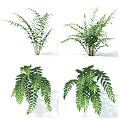 Lush Green Leafy Plants With Different Leaf Shapes And Fresh Foliage