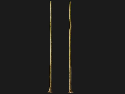 Two Slender Arbor Trunks Standing Tall and Straight Against Black Background 3d model