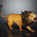 Realistic Lion With Open Mouth And Thick Mane In Dynamic Standing Pose 3d model
