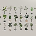 Modern green plant potted combination 3d model