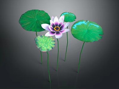 Vibrant Pink Lotus Flower With Purple Center And Green Leaves Stems 3d model