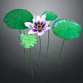 Vibrant Pink Lotus Flower With Purple Center And Green Leaves Stems