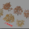Triangular Maple Trees With Vibrant Autumn Red And Yellow Foliage 3d model