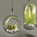 Modern Hanging Glass Planters with Succulent Plants and Small Pebbles for Indoor Decor