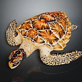 Decorative Sea Turtle Figurine With Orange Brown Patterned Carapace And Spotted Limbs On Black Background
