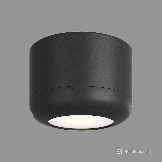 Black Round Downlight Spotlight Ceiling Mounted With White Light And Modern Design 3d model