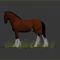 Red Horse With Black Mane Standing On Green Grass Field With White Hooves