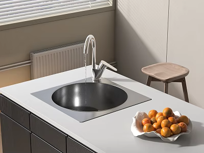 Stainless Steel Kitchen Sink On White Countertop With Faucet And Oranges In Modern Kitchen 3d model