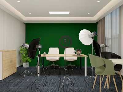 Modern Public Office Space with Green Wall Tables Chairs Photography Lights and Potted Plant 3d model