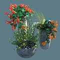 Various Potted Plants With Red Flowers Green Leaves And Orange Blooms In Gray Pots