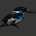 Vibrant Kingfisher with Shiny Blue Green Plumage Yellow Collar Long Beak on Dark Background
