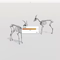 Two Animal Skeleton Models With Detailed Bone Structure On White Background