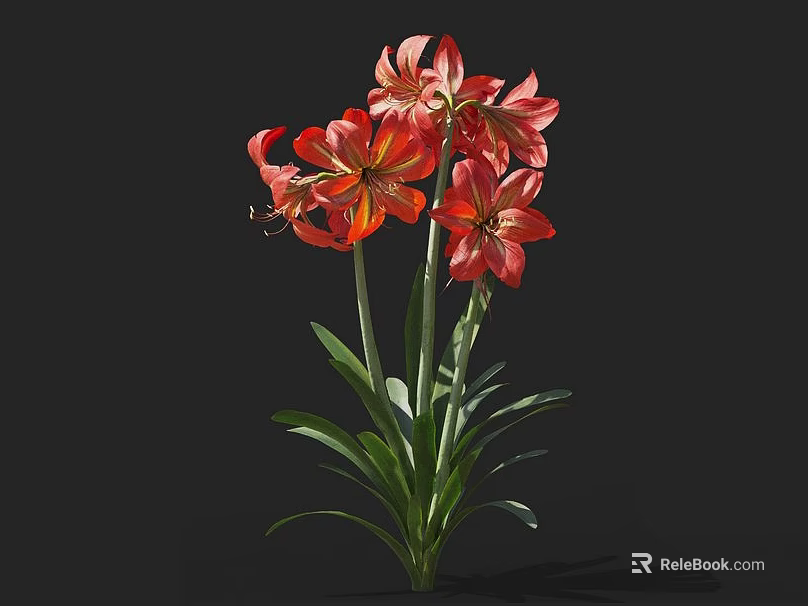Vibrant Red Flowers With Green Leaves And Multiple Blooms On Dark Background 3d model 