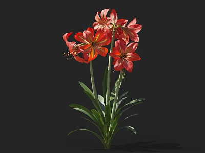 Vibrant Red Flowers With Green Leaves And Multiple Blooms On Dark Background 3d model