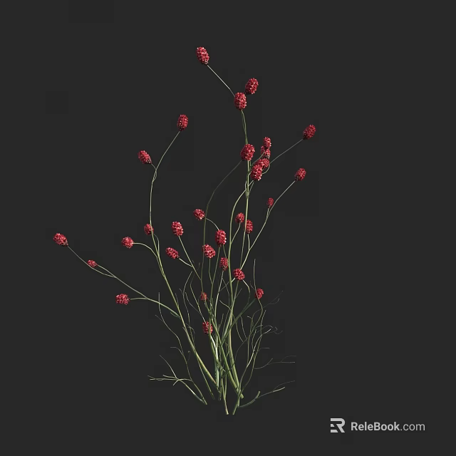 Red Small Flowers with Slender Green Stems Against Black Background 3d model 