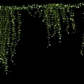 Hanging Green Vines with Lush Foliage Ideal for Indoor Outdoor Decoration