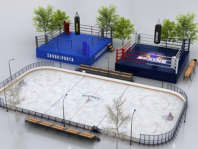 Outdoor Sports Complex Featuring Boxing Rings Ice Rink Trees And Benches 3d model