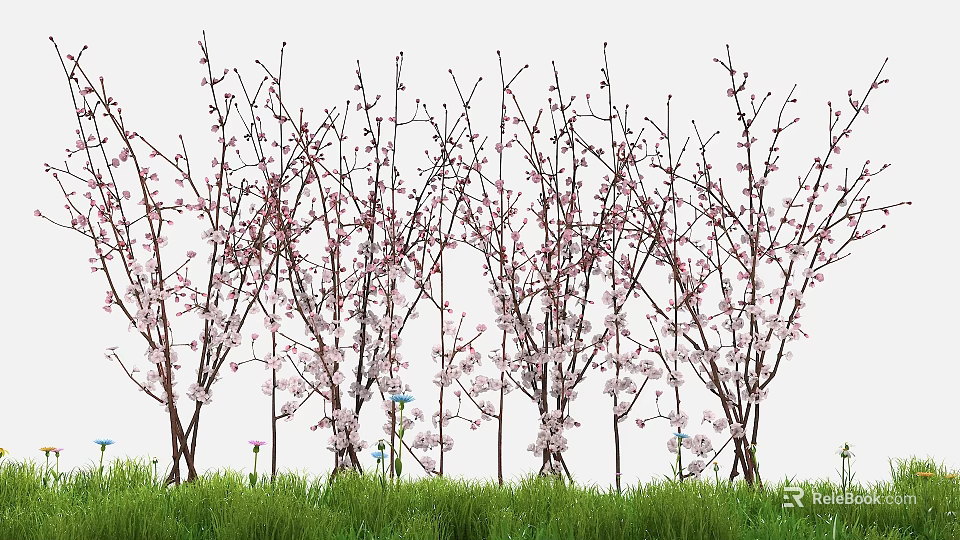 Pink Flowering Trees With Slender Branches Over Green Grass With Blue And Purple Small Flowers 3d model 