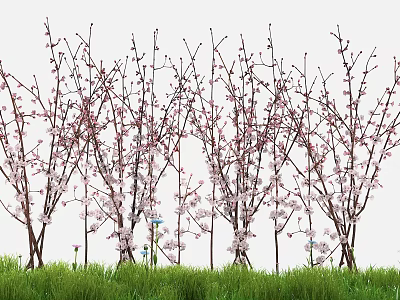 Pink Flowering Trees With Slender Branches Over Green Grass With Blue And Purple Small Flowers 3d model