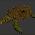 Brown Shell Turtle With Geometric Patterns Green Head And Limbs On Gray Background