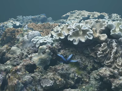 Marine Plants Various Colorful Corals In Underwater Reef With Blue Fish 3d model