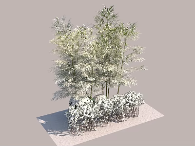 Mixed Plant Combination With Tall Bamboo And White Flowering Shrubs 3d model