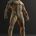 Game Film Character 3D Model With Detailed Muscle Structure Anatomical Design Front Back View