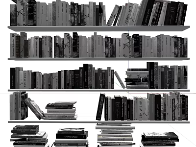Stacked And Standing Books Magazines On Neatly Arranged Multi Layered Bookshelves 3d model