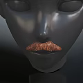 Black Mannequin Head With Realistic Brown Mustache And Smooth Surface Details