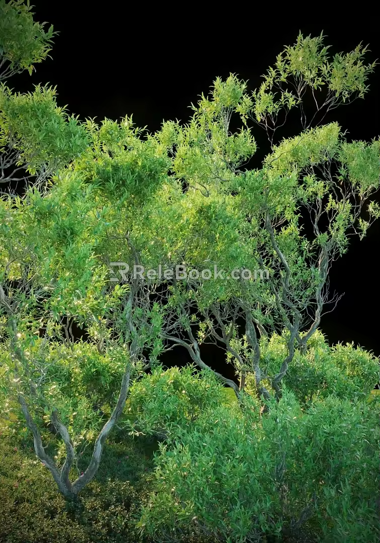 Trees Small Trees 3d model