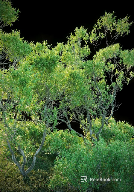 Tall Green Arbor With Lush Foliage And Strong Trunk In Natural Surroundings 3d model 