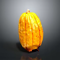 Fresh Yellow Pumpkin with Orange Spots and Long Shape on Black Background with Bottom Reflection