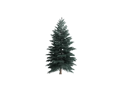 Plant Combination Featuring Green Evergreen Pine Tree For Landscape Design 3d model