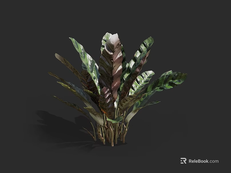 Vibrant Variegated Foliage Plant With Green And Purple Leaves And Sturdy Brown Stems 3d model 