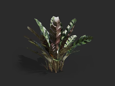 Vibrant Variegated Foliage Plant With Green And Purple Leaves And Sturdy Brown Stems 3d model