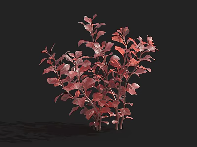 Aquatic Plants With Vibrant Red Leaves And Lush Underwater Foliage 3d model