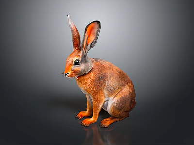 Realistic Brown Rabbit With Long Ears Sitting On Dark Shiny Surface 3d model