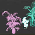 Three Different Potted Plants in Various Containers Against White Background
