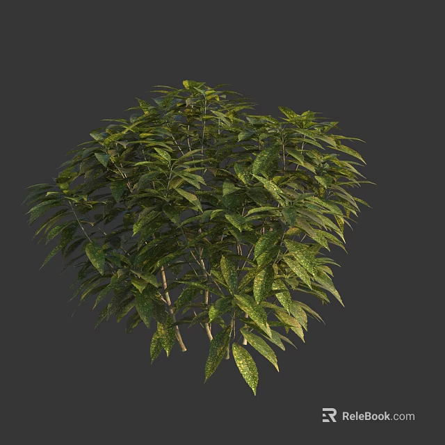 Lush Green Shrub With Dense Foliage And Vibrant Leaves For Garden Landscaping 3d model 