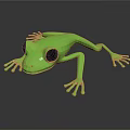 Green Frog With Large Black Eyes On Black Background