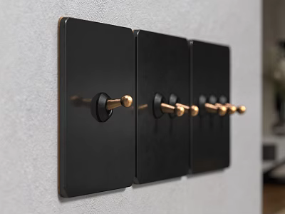 Black Switch Panels With Gold Knobs Mounted On Light Colored Wall In Modern Design 3d model