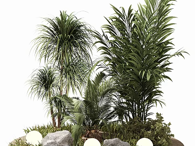Tall Tropical Trees With Lush Green Palms Surrounding Rocks And Decorative Lights 3d model