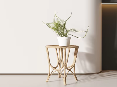 Side a few corner a few potted plants 3d model