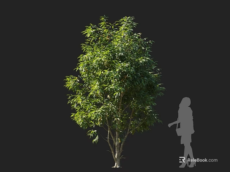 Lush Green Arbor With Dense Foliage And Female Silhouette Against Black Background 3d model 