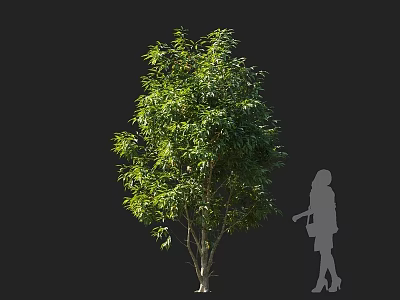 Lush Green Arbor With Dense Foliage And Female Silhouette Against Black Background 3d model