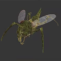 3D Rendered Green Insect With Transparent Wings Sharp Fangs And Red Eyes