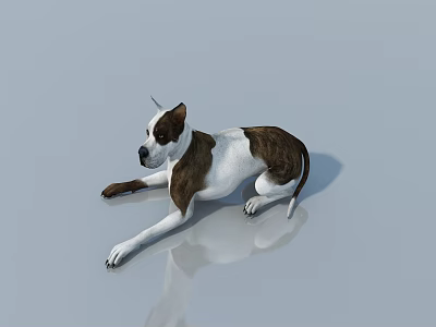 Brown And White Reptile Lying On Smooth Surface With Reflection 3d model