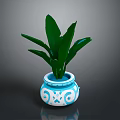 Green Leafy Plant In Blue And White Patterned Ceramic Pot With Fresh Leaves
