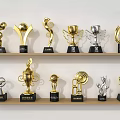 Trophies and Medals Display with Various Gold Silver Designs on Wooden Shelves