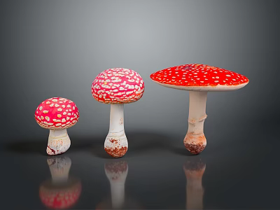 Three Red Mushrooms With White Spots In Different Sizes On Dark Surface 3d model